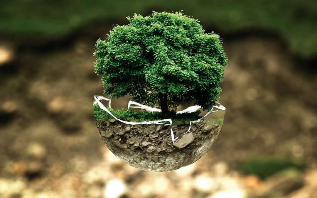 Is Concrete Lifting Foam Environmentally Friendly?