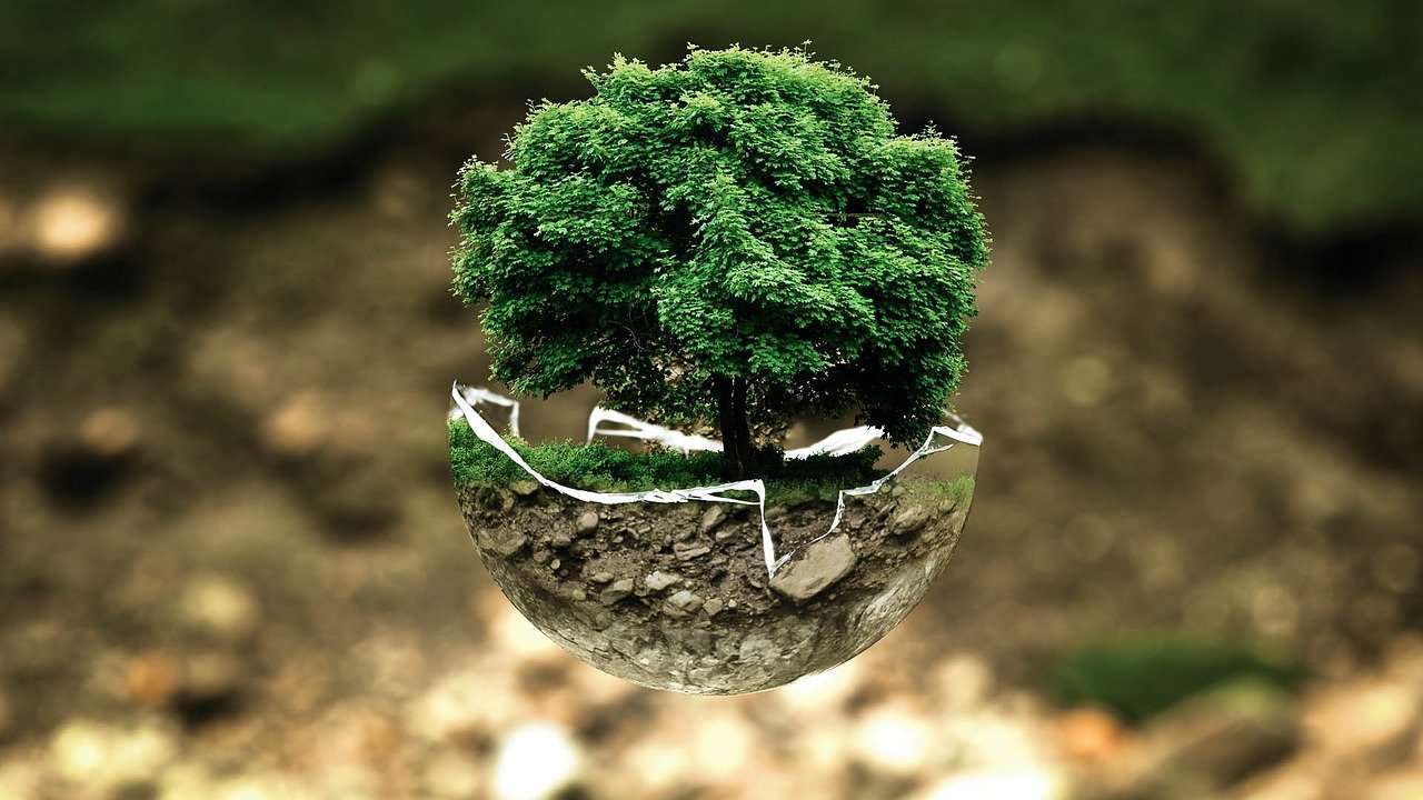 environmental-protection Environmentally Conscious Concrete Raising Solutions in Calgary, AB
