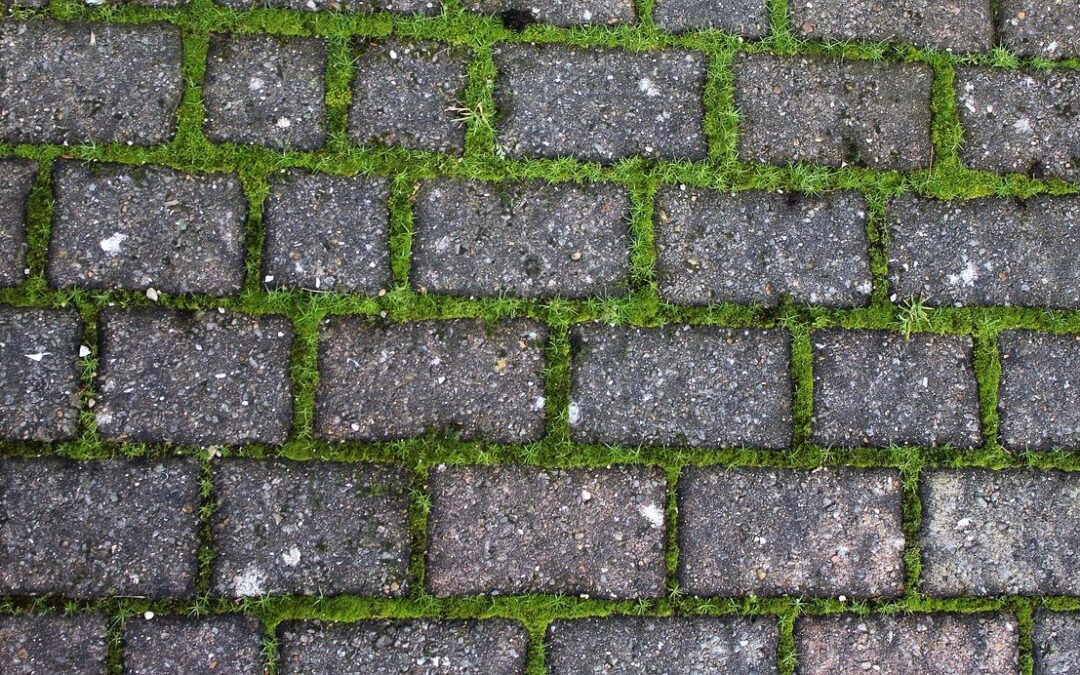 how to remove moss from concrete