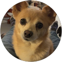 Mike Skappak profile picture