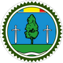 Ro Sarj profile picture