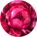 Gail Kathol profile picture